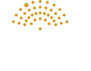 Friends of the Budapest Festival Orchestra